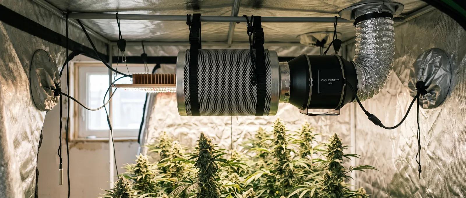 AZARIUS · Cannabis Ventilation Carbon Filters Airflow