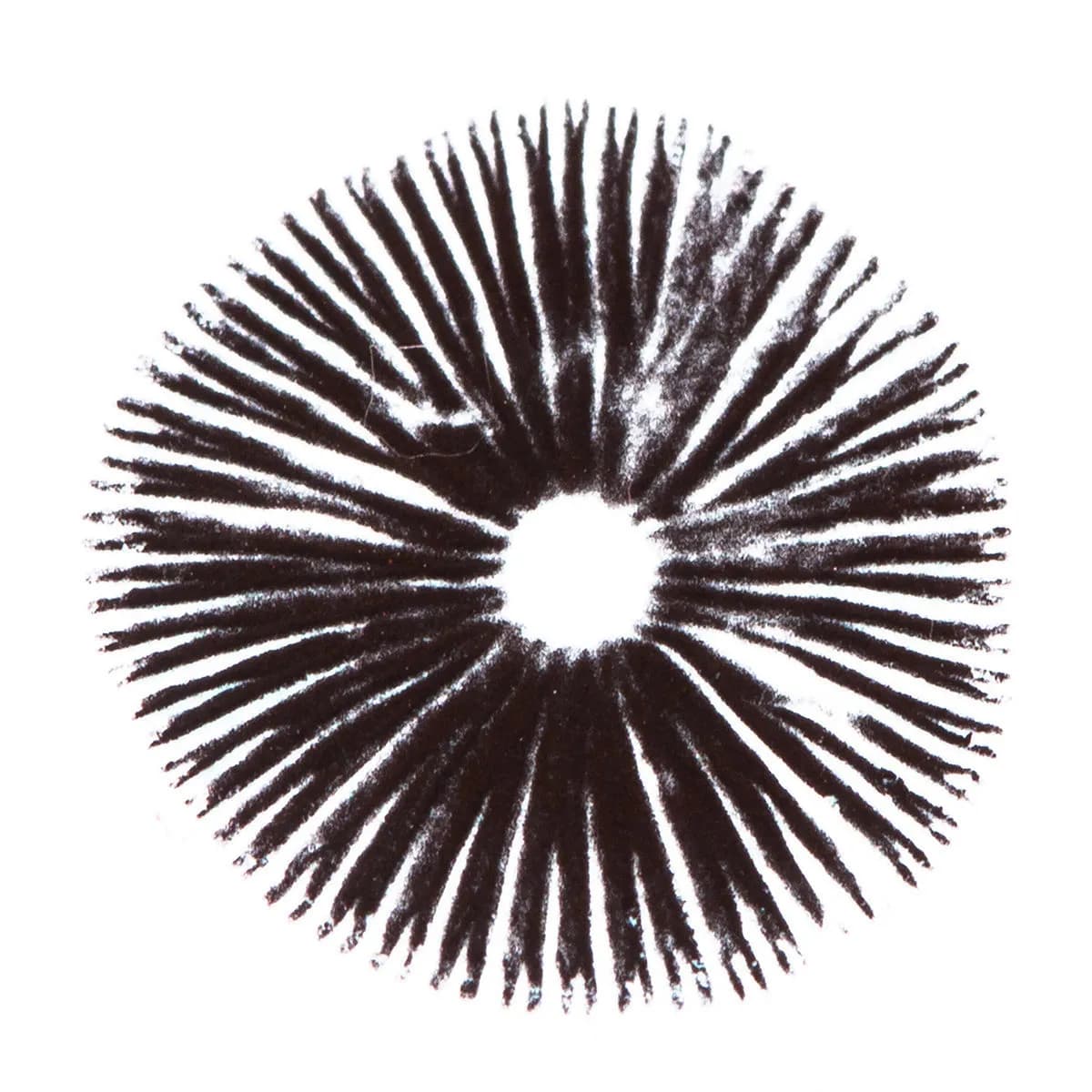 Sportryck Psilocybe Cubensis Golden Teacher