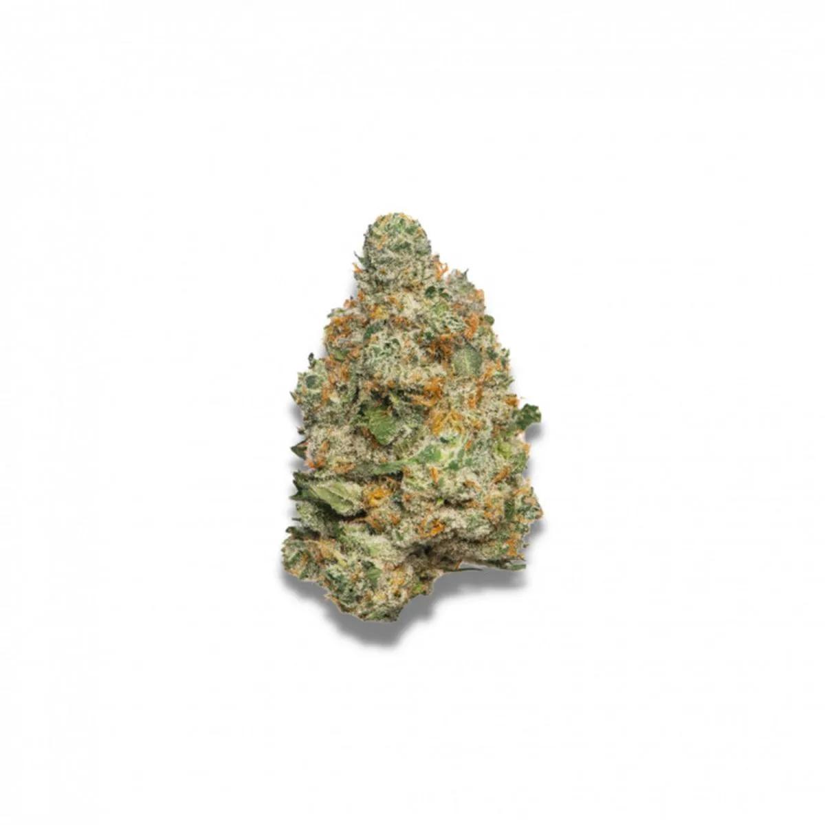 Apple Fritter