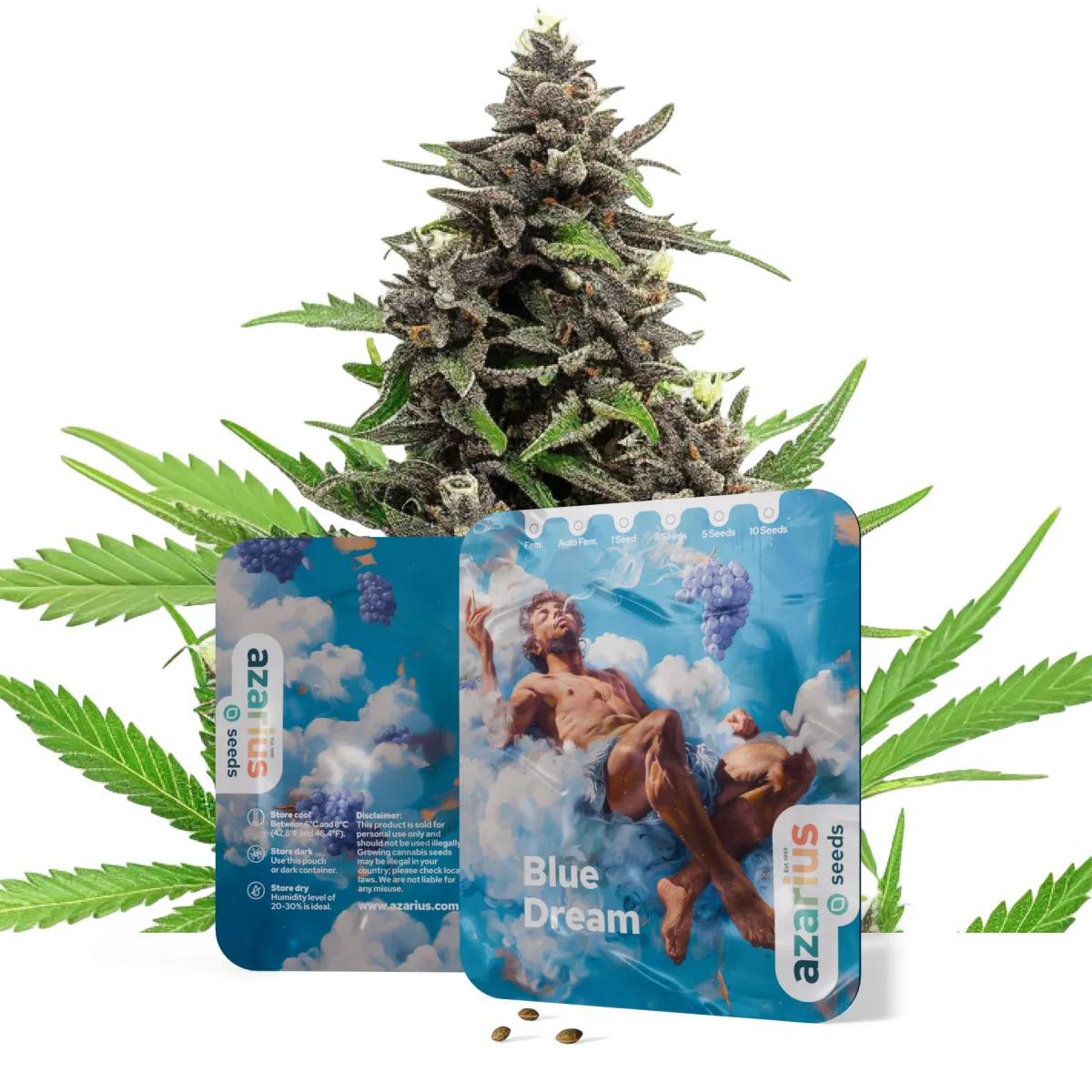 Blue Dream Auto
