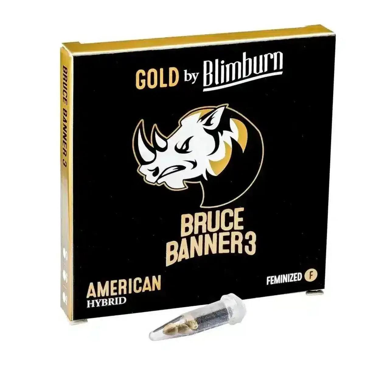 Bruce Banner 3