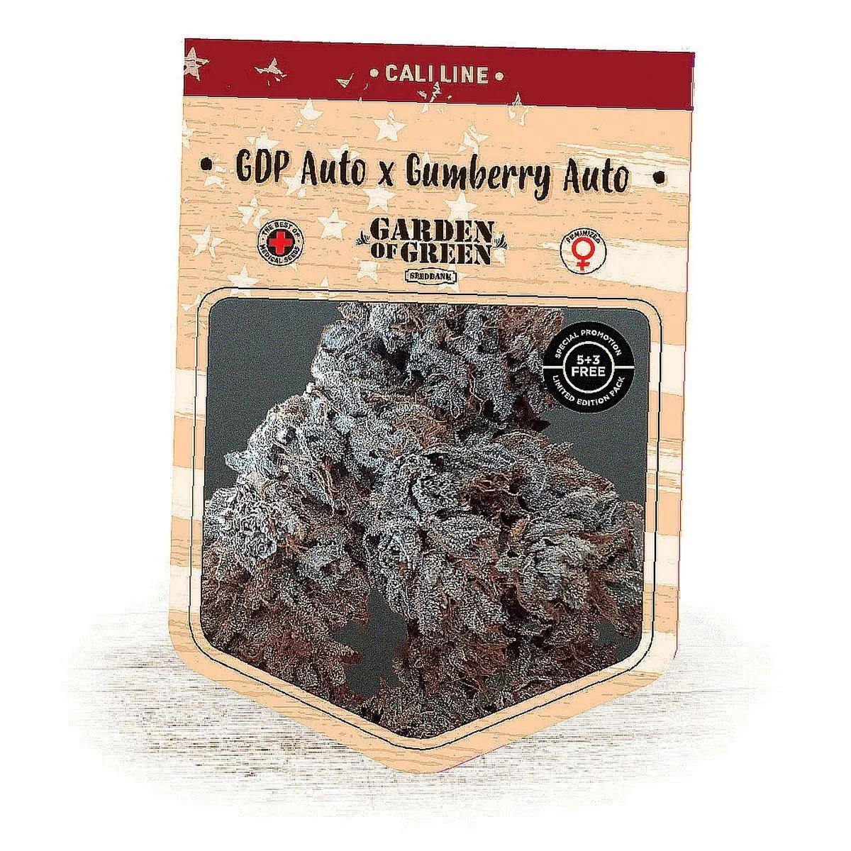 GDP Auto x Gumberry