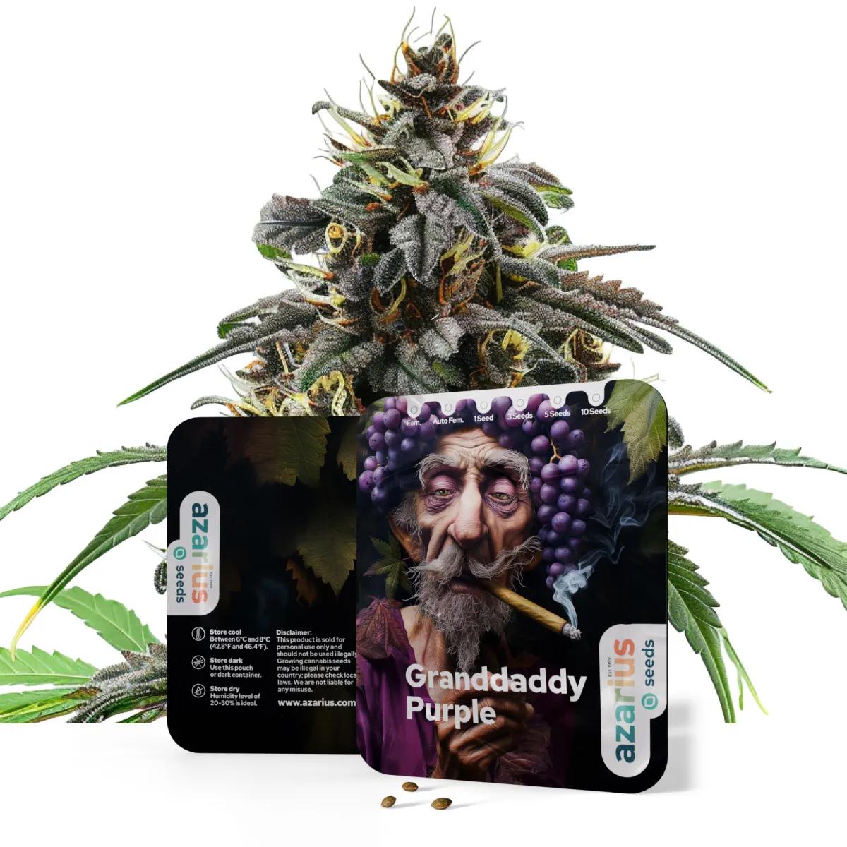 Granddaddy Purple Auto