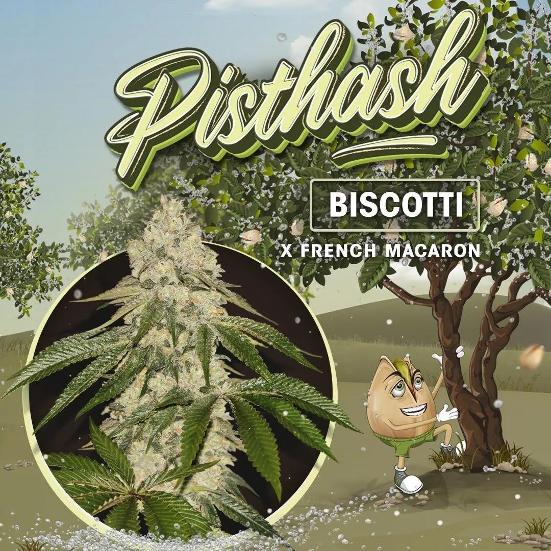 Pisthash (T.H.Seeds)