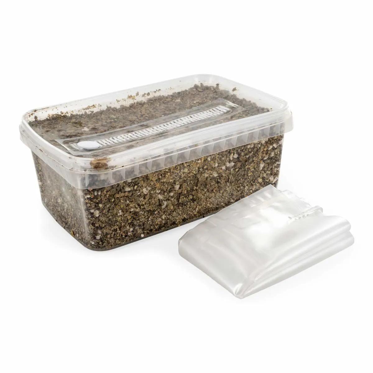 Steriliserat substratkit