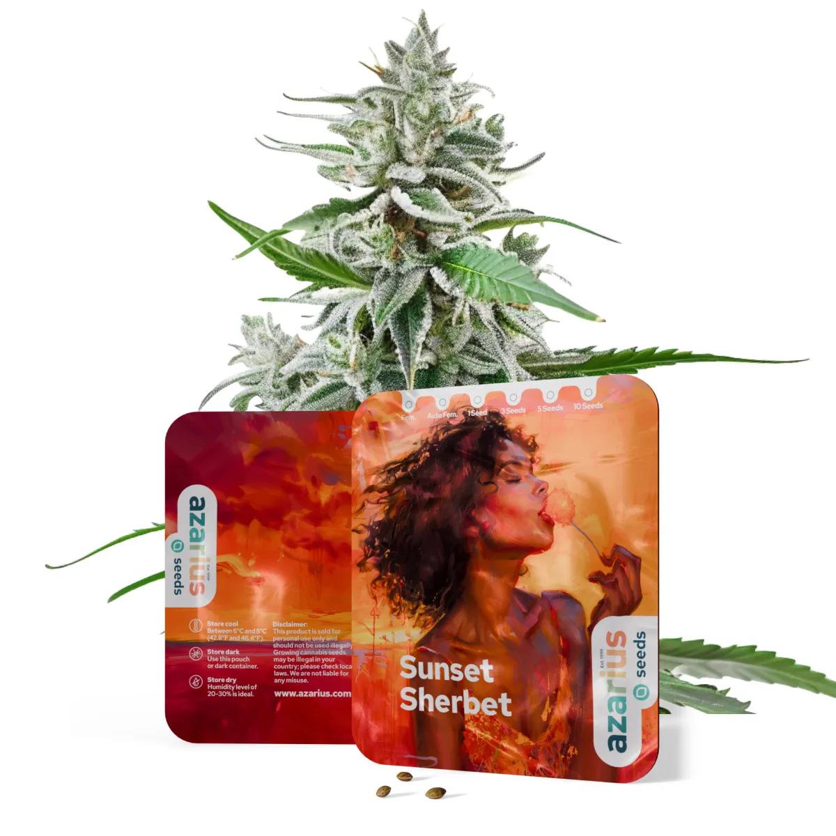 Sunset Sherbet