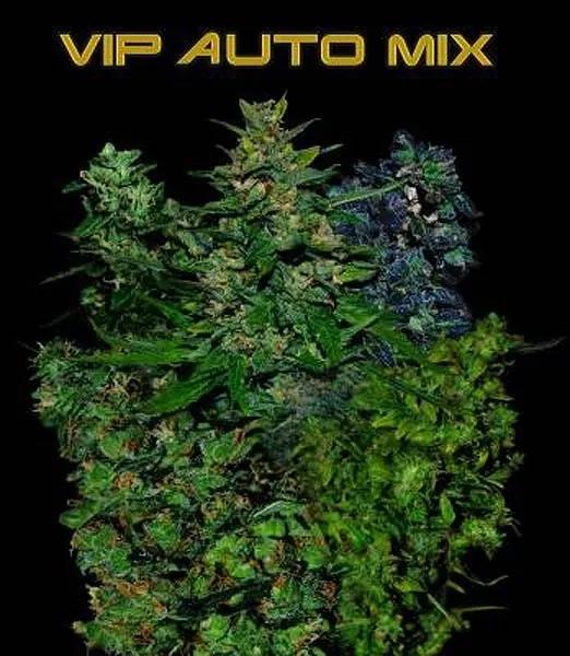 VIP Auto Mix
