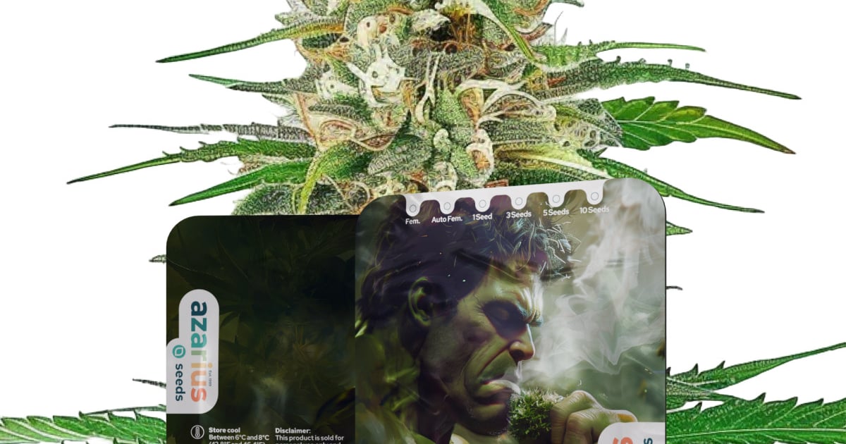 Bruce Banner Auto-frön – köp och odla | Azarius