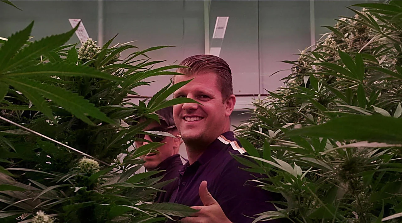 AZARIUS · Inuti Inexo: där testningen av cannabisgenetik faktiskt sker